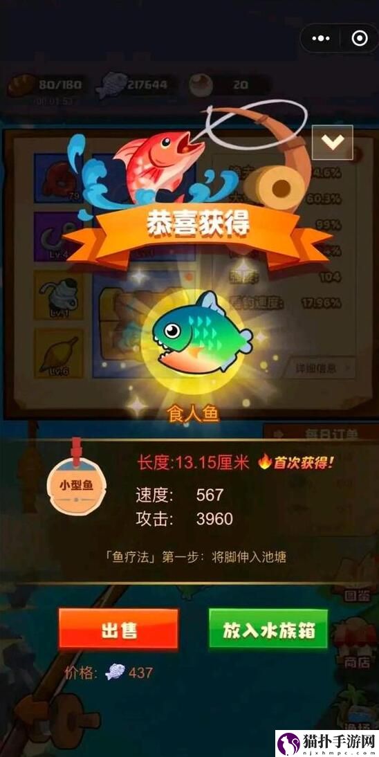 疯狂骑士团怪石滩涂钓鱼怎么钓疯狂骑士团怪石滩涂钓鱼攻略图鉴大全