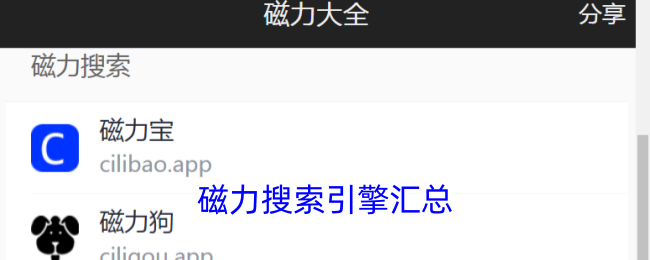 磁力搜索引擎汇总有什么好用的磁力搜索器